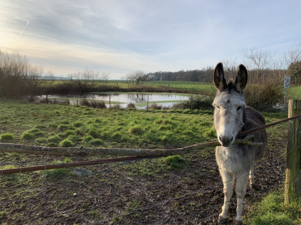 La Mare Marion... et son gardien, peu farouche. Visiblement, il a l'habitude des marcheurs.