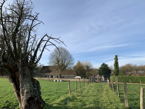 Nous suivons le chemin de la mare en direction du chemin du Clos Hareng, en face de nous.