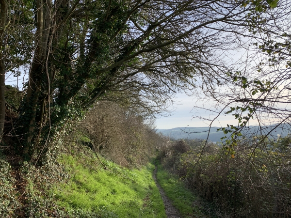 Nous descendons du Mont Pivin par le chemin de Crève-Coeur.