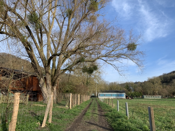 Nous quittons le chemin de halage pour retrouver notre point de départ au Val St-Martin.