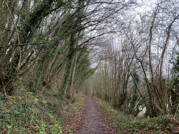 Nous suivons le chemin de la Fontaineresse qui avance en balcon au-dessus de la vallée de la Lieure.