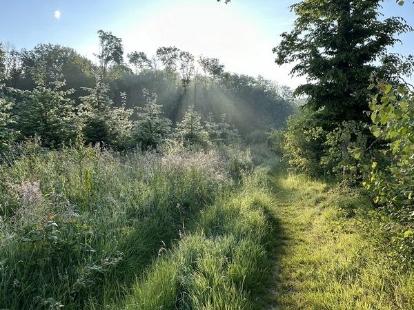 La plaine agricole fait place aux coteaux boisés du Ravin aux Frênes.