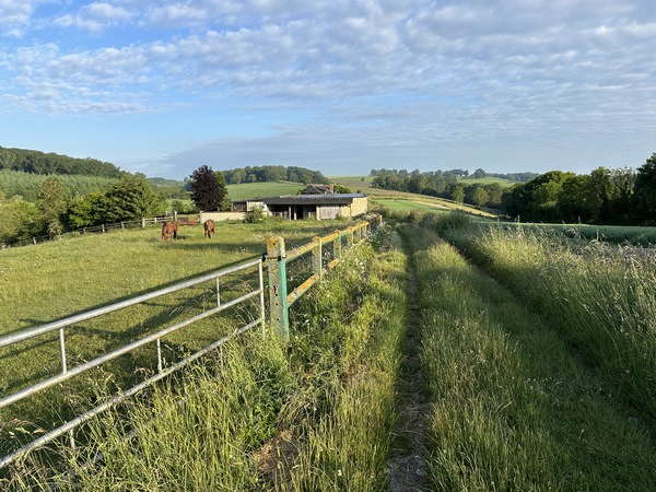 Nous sommes maintenant sur le délicieux chemin de la Côte des Grellemonts (regard arrière).