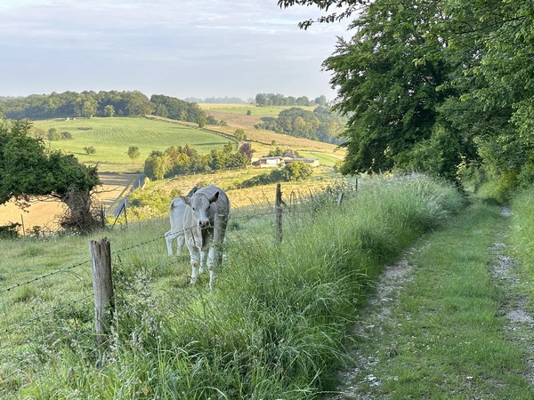 Chemin de la Côte des Grellemonts.