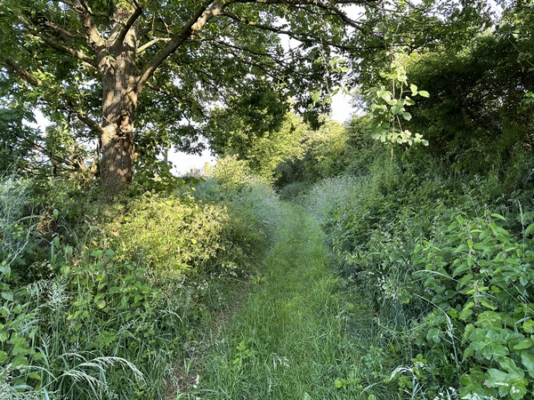 Nous quittons Ry par l'ouest, sur le chemin du Grimpelet.