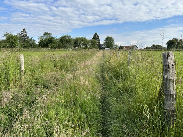 Nous entrons dans Grainville-sur-Ry par le chemin de la Mare Chanceuse.&nbsp;
