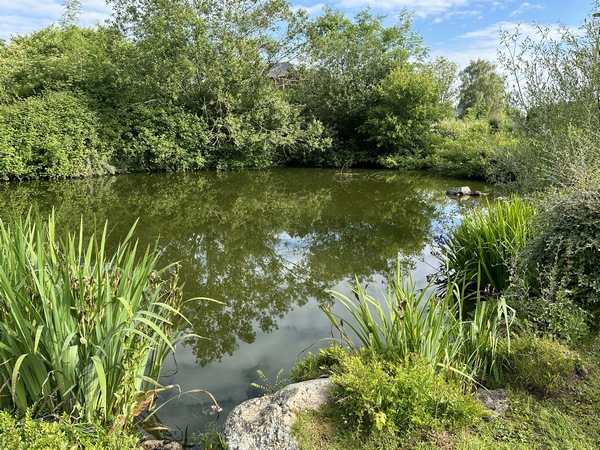 La Mare Chanceuse est à l'entrée est de Grainville. Inutile de jeter une pièce dans la mare en faisant un vœu : son nom vient de "sangseuse". On devait y trouver des sangsues, utiles aux médecins de l'antiquité jusqu'à une époque récente. En 1832, la France importait plus de 57 millions de sangsues d'Europe de l'est !