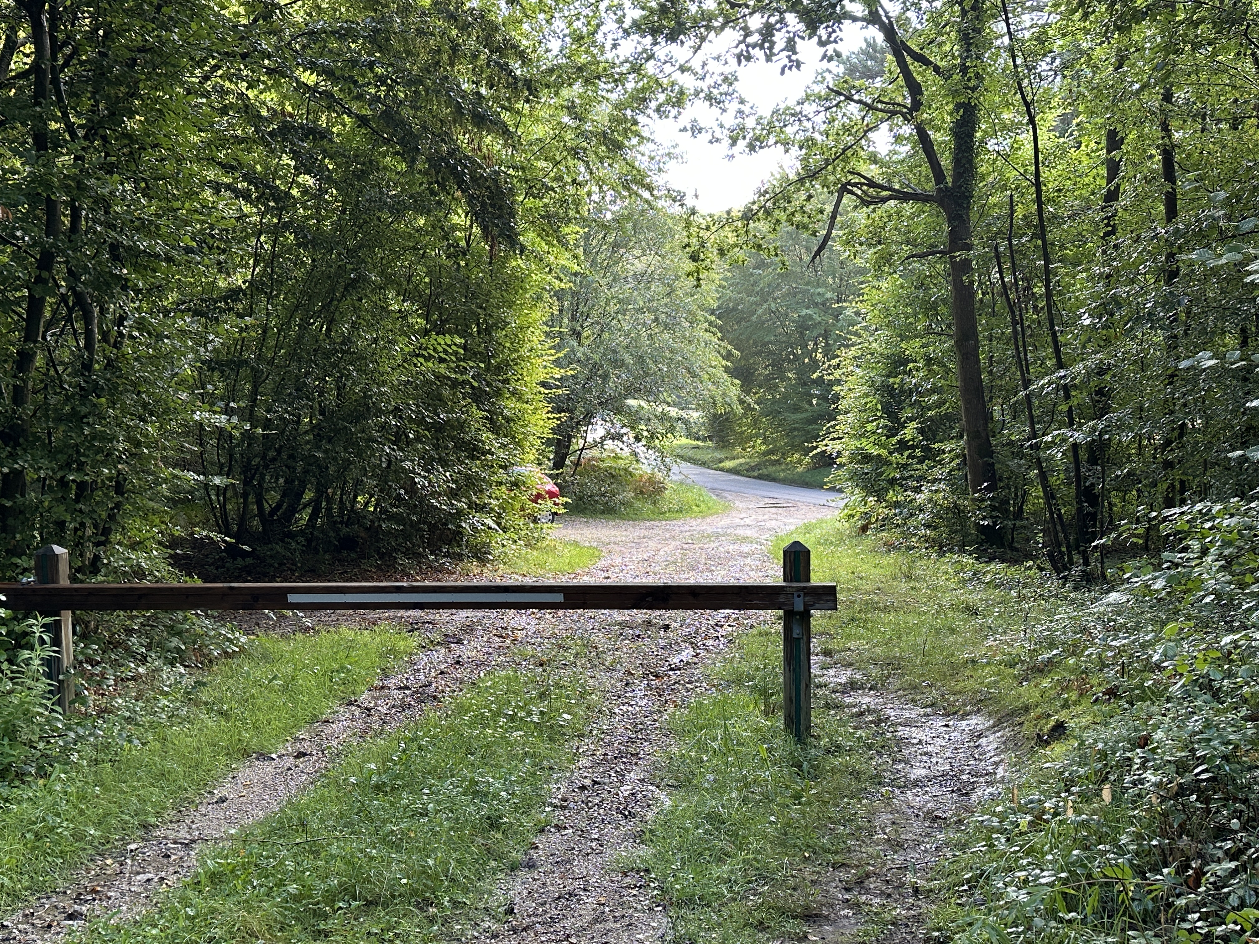 Nous arrivons en vue de la D20. Avant la route, nous allons tourner à gauche sur le chemin du Val Herbeux.