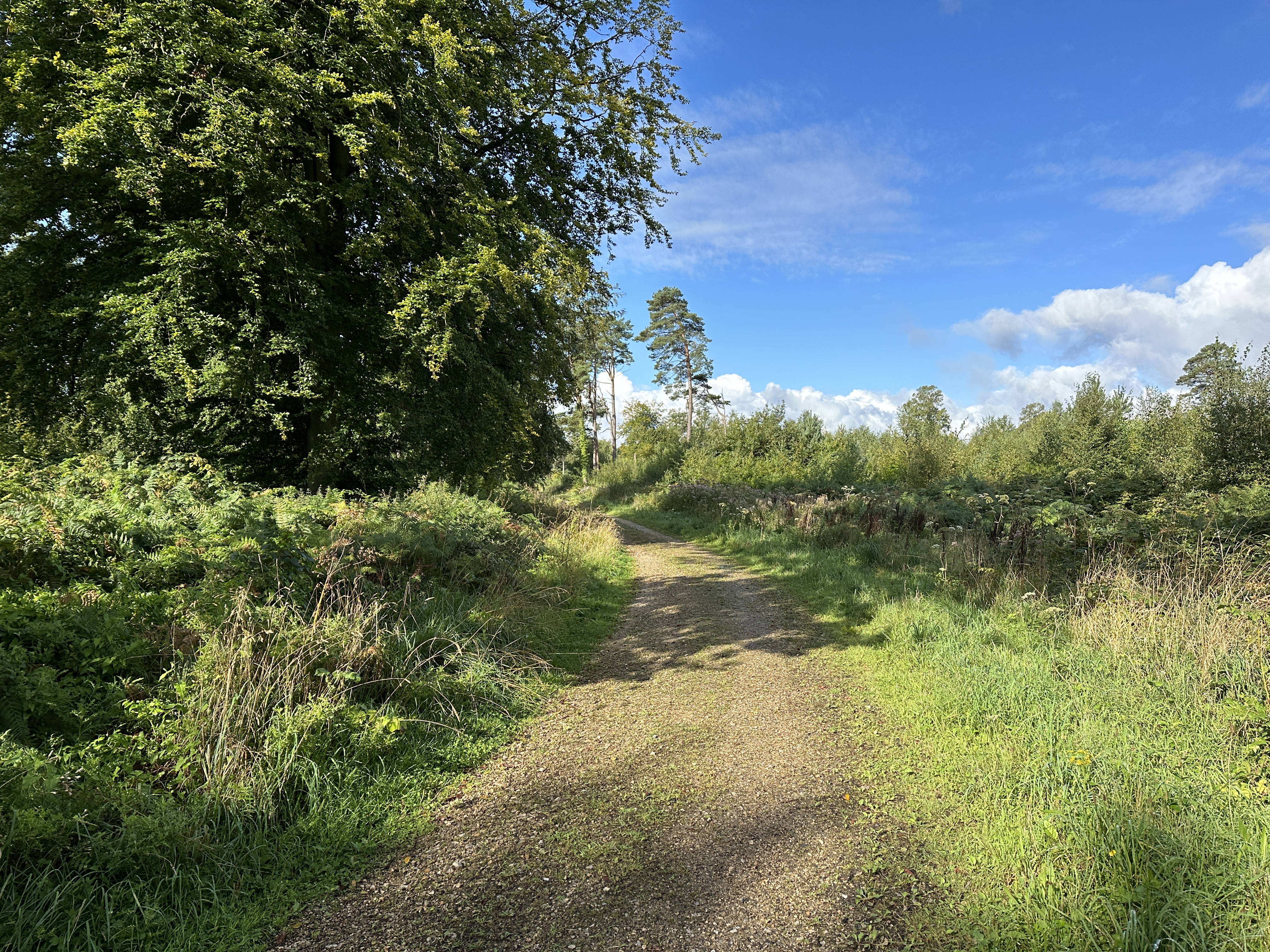 Nous arrivons sur le chemin rural de la Barette.&nbsp;