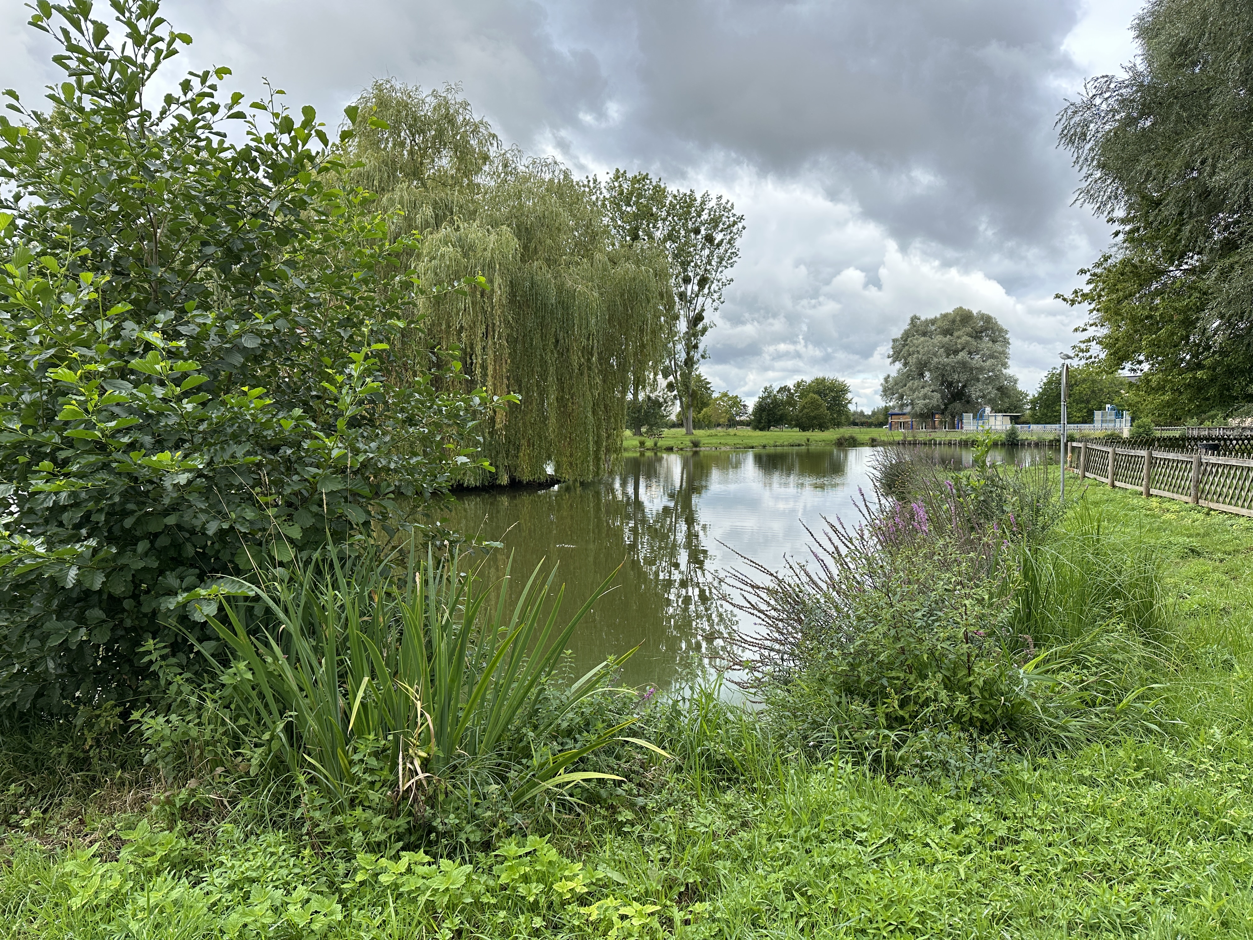 L'étang Jean-Agnès, au centre du parc, est un charmant but de promenade mais aussi une réserve de faune aquatique préservée par deux aérateurs de bassins.