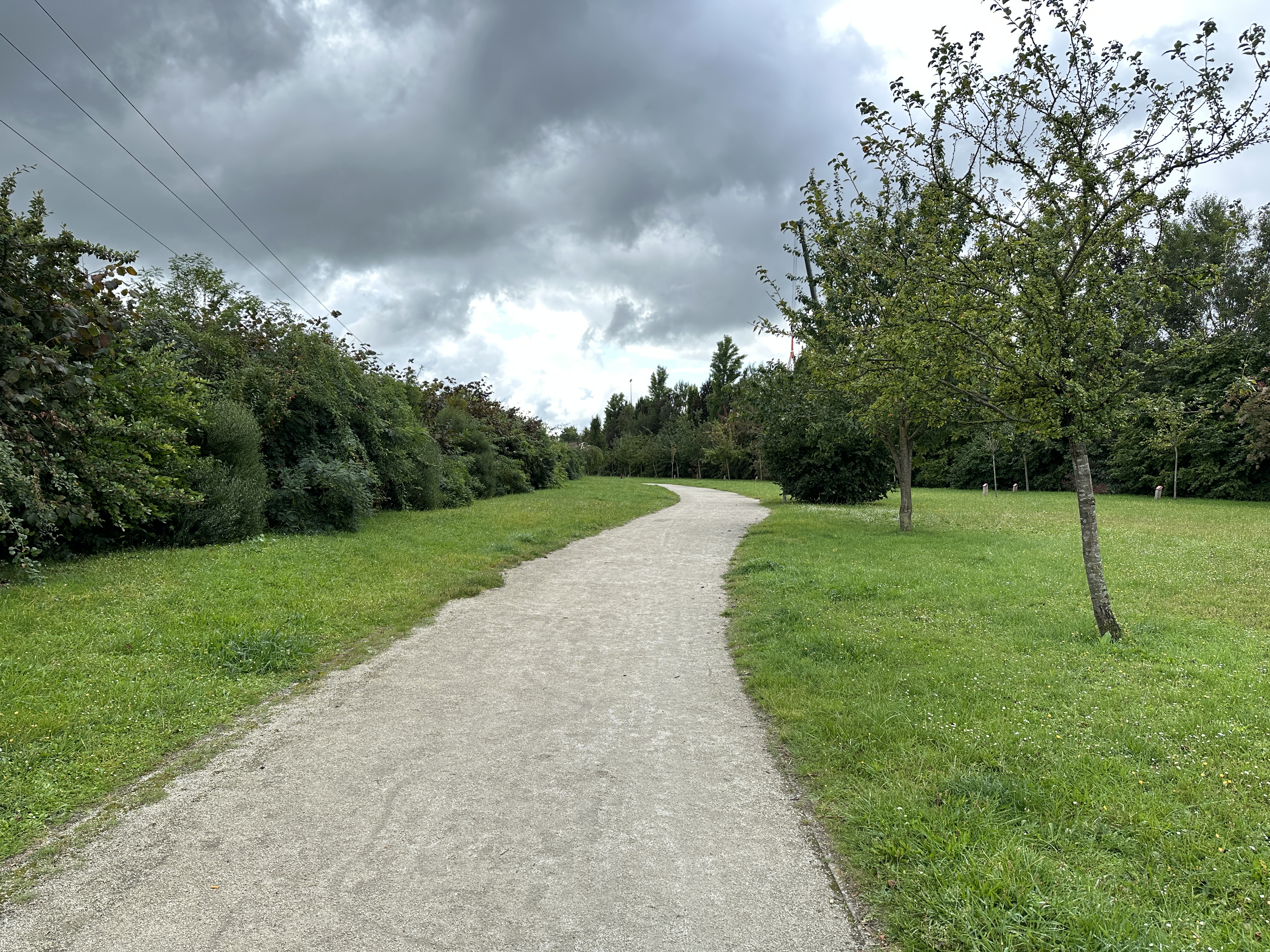 Après le Parc Guérillon, nous traversons le Parc de la Barrière des Près et son arboretum.