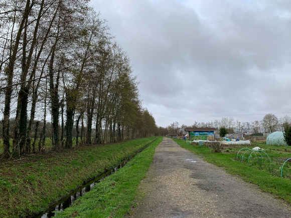 Nous entrons dans les marais en longeant les jardins familiaux.