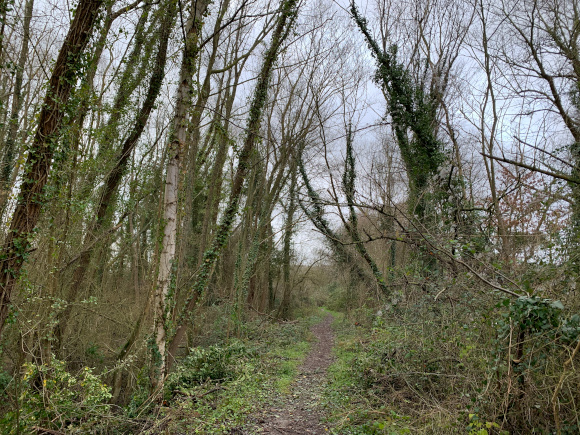 Après les carrières, le chemin prend un aspect plus sauvage.