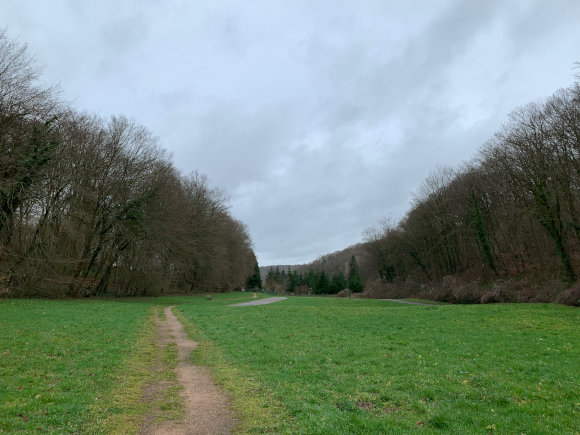 Photo n°19 de la randonnée boucle entre Yainville et Jumièges (Yainville 2)