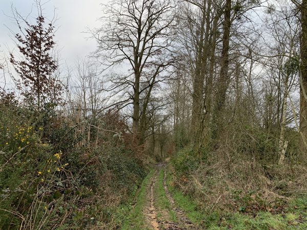 Nous descendons en direction de la vallée de la Scie.
