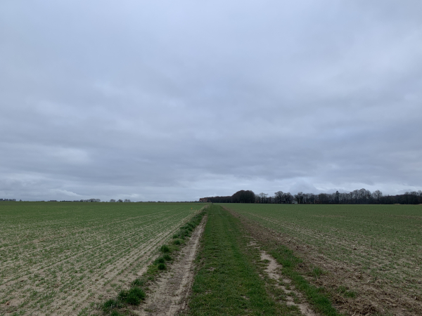 Nous quittons la D3, et suivons ce chemin à travers champs, en direction du Bosmelet.