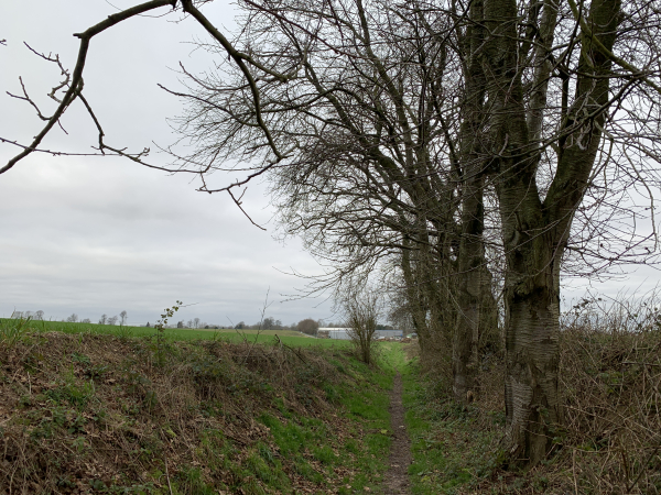 Nous marchons en direction de la D96.