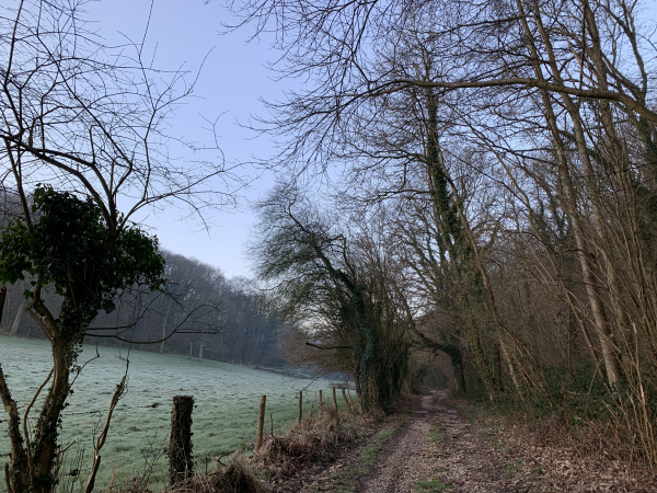 Nous quittons la vallée de la Durdent pour monter dans les bois, toujours sur le GR211.