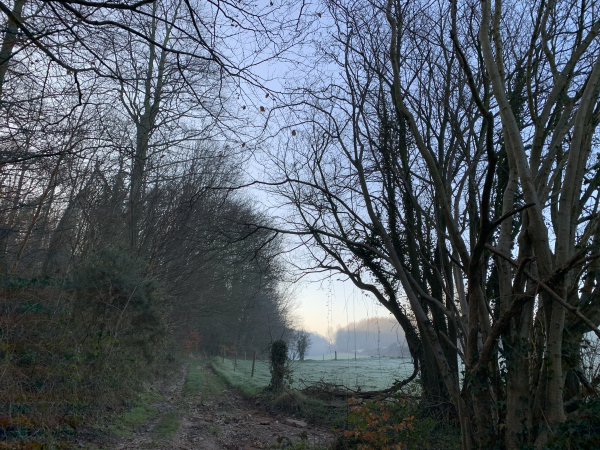 Après le bois Bascourt et le bois des Rayons, nous arrivons aux pieds de Canouville.