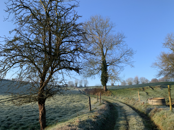 Nous quittons le GR211 pour monter vers Canouville.