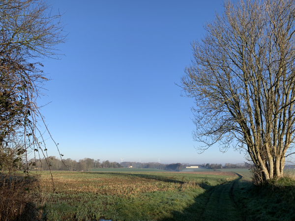 Le Chemin du Clos traverse la plaine agricole de Butot-Vénesville.