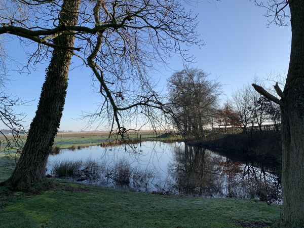 Hameau de l'Eglise, la mare.
