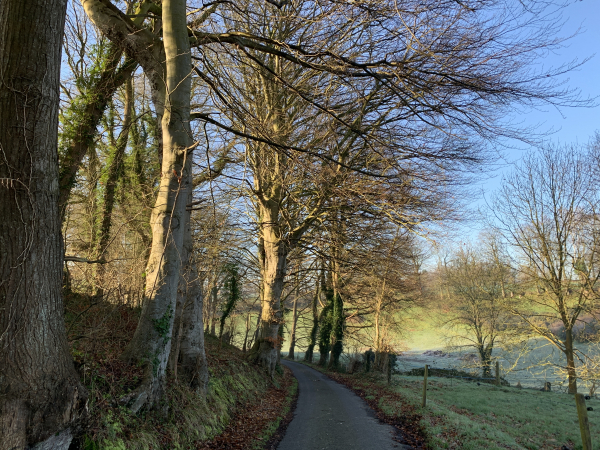 Nous descendons du Hameau de l'Eglise pour rejoindre le GR21 dans le vallon.