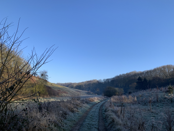 Le GR21 suit ce vallon jusqu'à Veulettes-sur-Mer, et il est possible de fermer la boucle en le suivant jusqu'au bout. Ce ne sera pas notre choix.