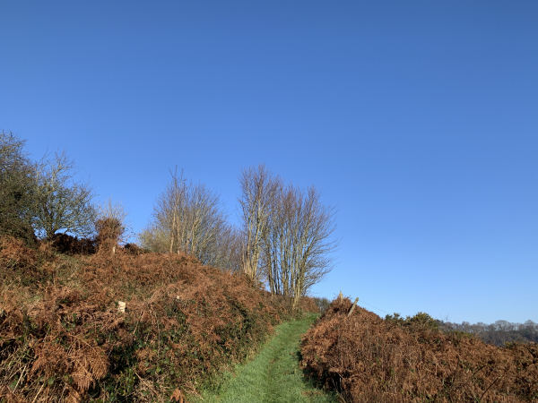 Nous décidons de quitter le GR21 et son froid vallon pour monter sur la colline ensoleillée et rejoindre Veulettes-sur-Mer par les hauteurs.