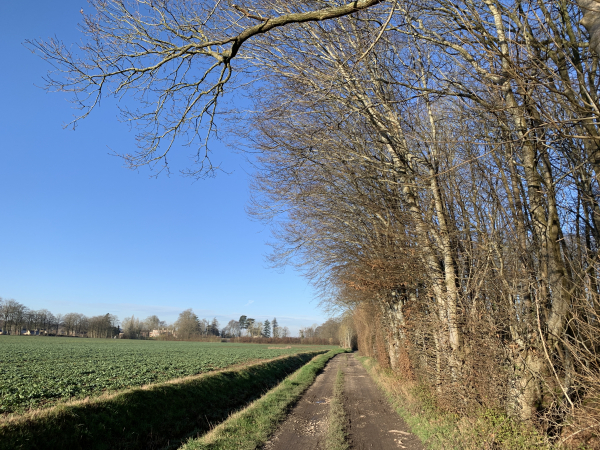 Après un petit écart en direction du Thuit-Signol, nous revenons vers le Thuit-Simer. Le mot normand thuit, désignait un essart, un terrain défriché.