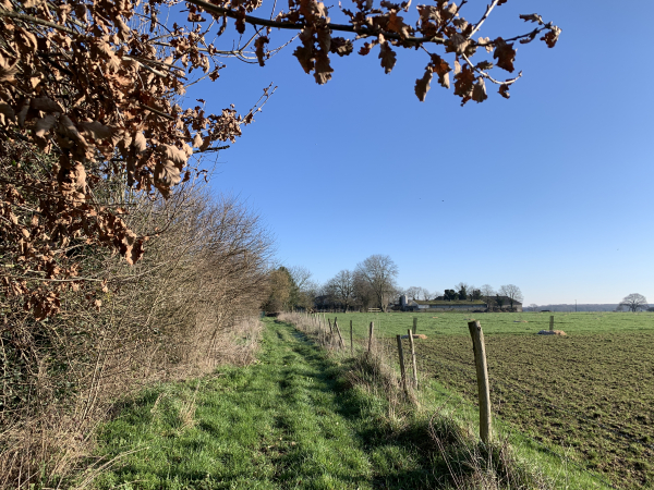 Nous voilà revenus sur les terres de Bosnormand, à proximité du château.
