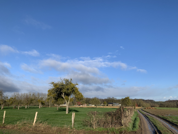 Nous arrivons au hameau de la Volardière. Il y a eu des averses orageuses hier et cette nuit, mais les chemins de ce circuit restent praticables.