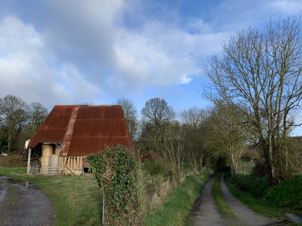 Nous entrons dans le petit bois des Bruchettes pour rejoindre le hameau de Boincourt.