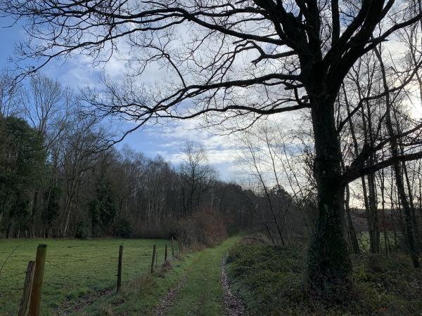 Après le hameau de Boincourt, nous retrouvons le bois des Bruchettes.