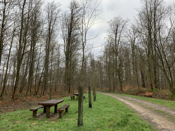 Aire de pique-nique du Carrefour des Veneurs.