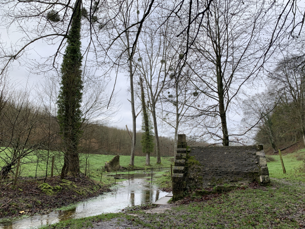 Nous sommes descendus à la Fontaine Sainte-Catherine, non loin de l'Abbaye Mortemer. Des jeunes filles à marier venaient en pélerinage à la fontaine, elles y jetaient une épingle à cheveux ou une pièce, afin de trouver un mari dans l'année. Si l'on en juge par les bouquets de fleurs fraiches jetés par la grille de la chapelle, la dévotion à la sainte n'est pas terminée. (D'autres photos sont dans l'album de la randonnée)