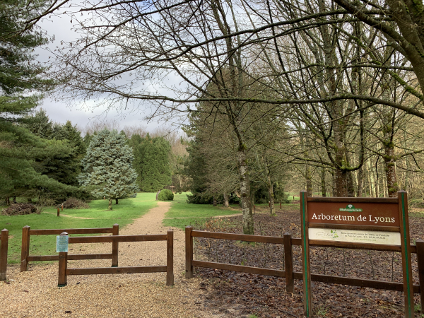 Aux Bordins, nous arrivons devant l'Arboretum de Lyons, libre d'accès. Même en hiver, cet arboretum reste impressionnant.