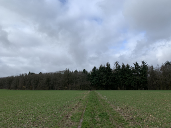Nous rejoignons la forêt après le château de Fleury. C'est à partir d'ici que nous allons repartir vers l'ouest.