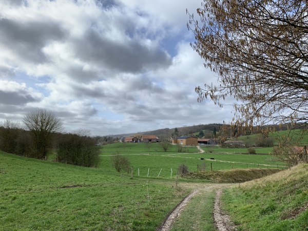 Nous arrivons dans le vallon de Saint-Paul à Lyons-la-Forêt. Nous décidons d'entrer dans le bourg par le chemin qui longe les anciens remparts.