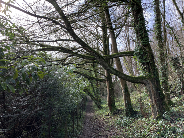 Notre chemin longe la Lieure, à l'arrière du bourg.