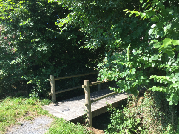 Nous sommes dans la vallée du Lozon, les anciens marais sont drainés, et notre balade agrémentée de passerelles.