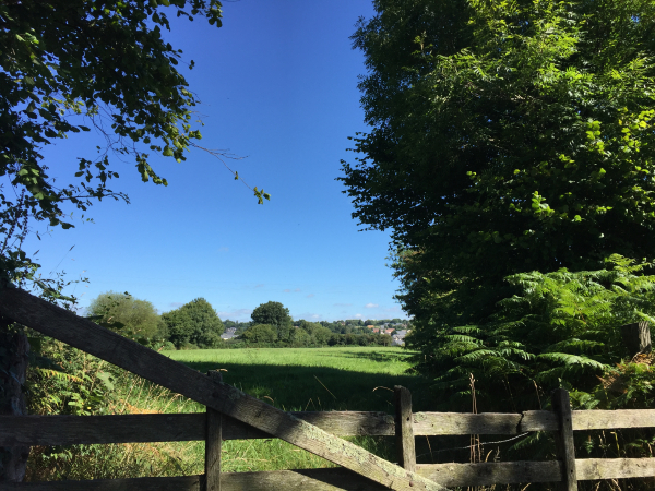 Nous sommes maintenant en périphérie de la ville que l'on aperçoit au loin.