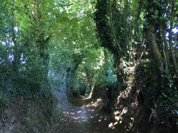 Et, à nouveau, ces délicieux chemins creux qui nous protègent de la chaleur.
