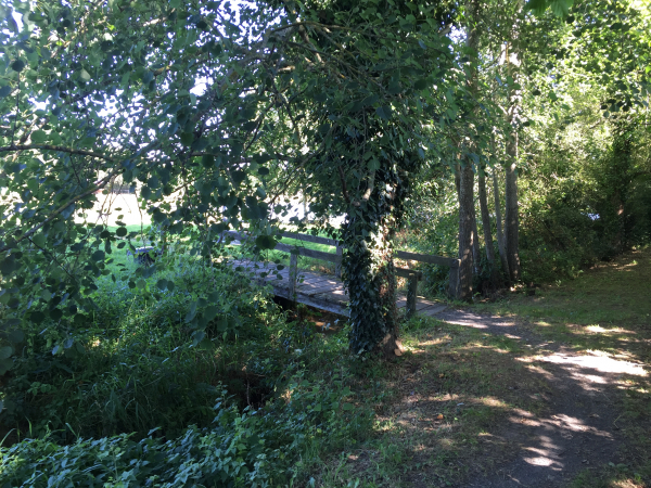 Nous traversons le Lozon pour longer l'un de ses étangs.