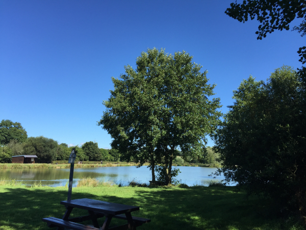 Etang aménagé le long du Lozon.