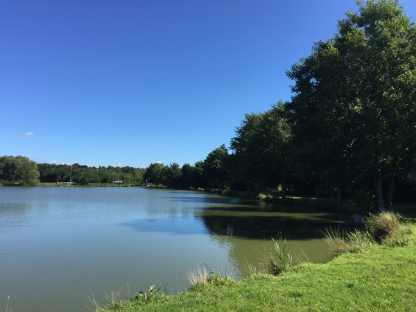 Le circuit longe l'étang du Lozon.