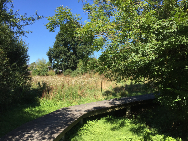 La zone humide de la Vallée Verte est non seulement préservée, mais aménagée pour la promenade.