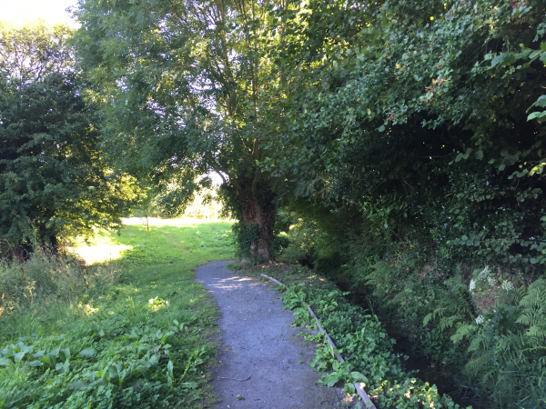 Notre chemin suit l'un des fossés chargés de drainer les marais. Nous allons bientôt fermer notre boucle par la rue du Mesnil Amey.