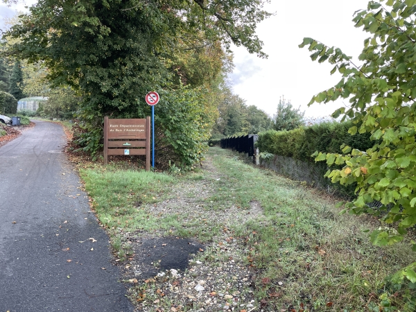 Nous montons vers la route du Bois l'Archevêque, et la quittons ici pour entrer en forêt.
