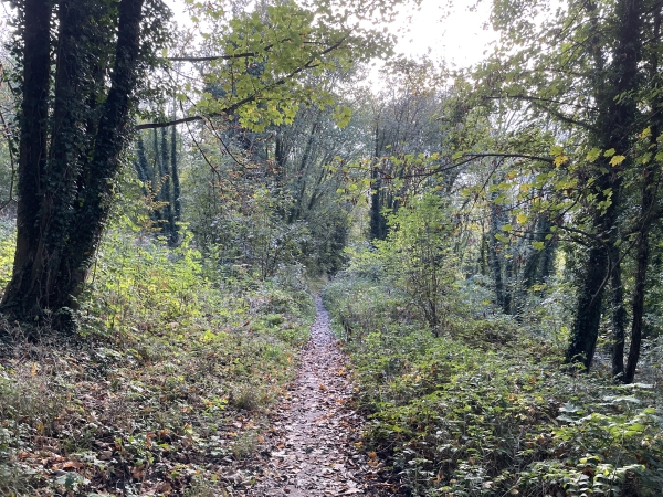 Ici le chemin est un simple sentier, mais il est renforcé et parfaitement praticable malgré la période humide. Nous attribuons un parapluie vert à ce circuit.